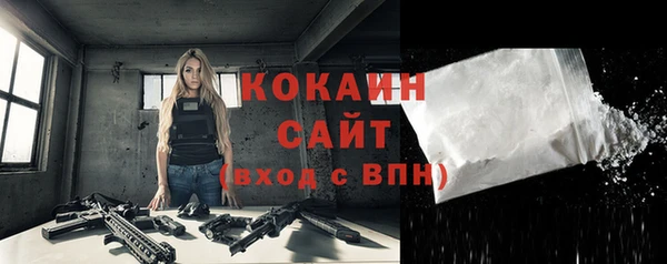 шишки Абинск