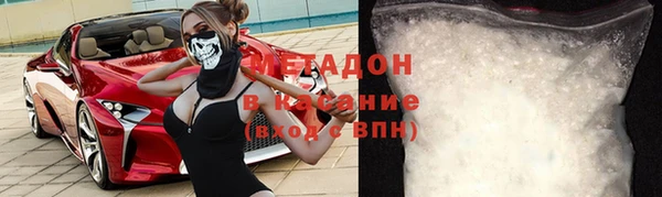 шишки Абаза