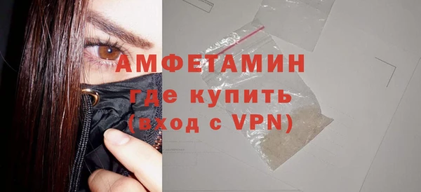 шишки Абаза