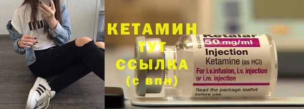 шишки Абаза