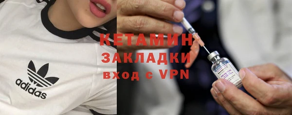 шишки Абаза