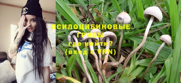 шишки Абаза
