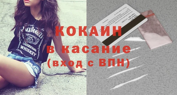шишки Абаза