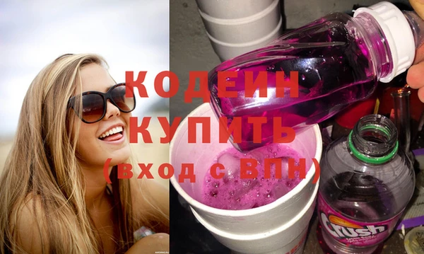 шишки Абаза