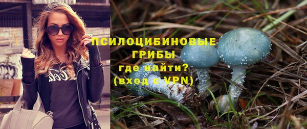 шишки Абинск