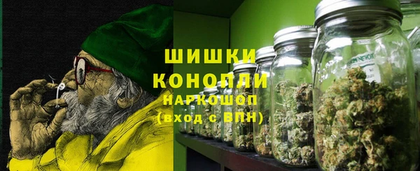 шишки Абинск