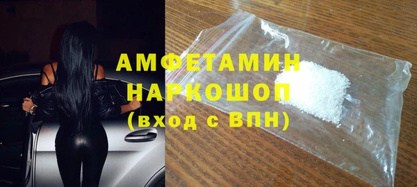 шишки Абаза