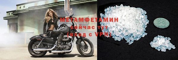 шишки Абаза