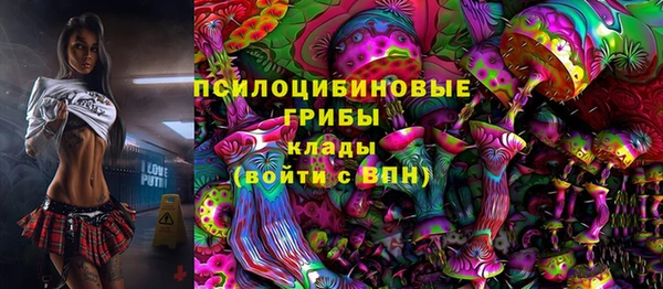 шишки Абаза