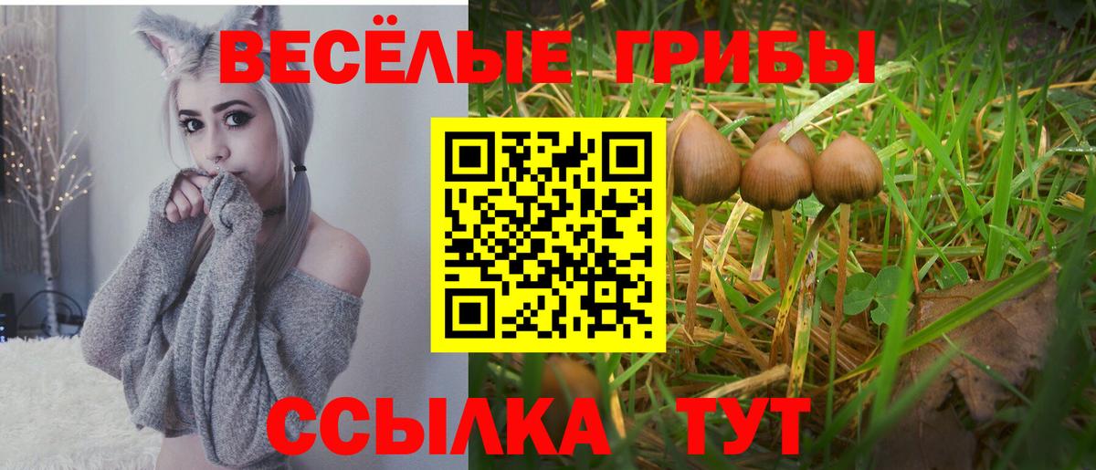 Галлюциногенные грибы прущие грибы  Псилоцибиновые грибы прущие грибы  Ялуторовск  Вход с VPN 