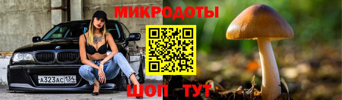 Псилоцибиновые грибы Cubensis Ялуторовск